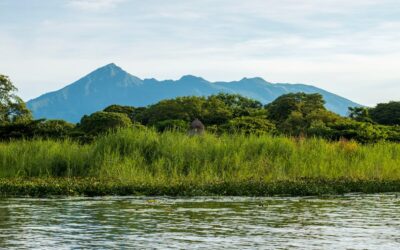 Botox en Granada: La solución moderna para una belleza natural y rejuvenecida